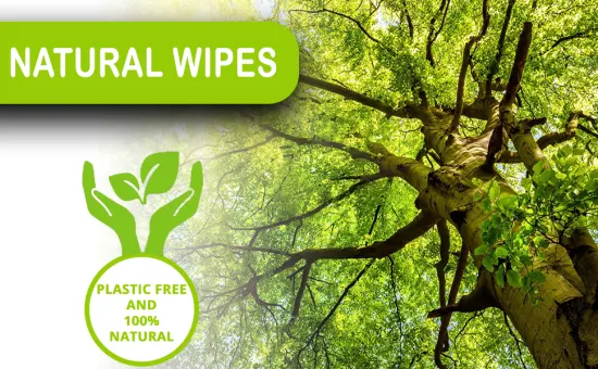 Biokleen OEM ODM Hersteller Anpassung 80 Stück umweltfreundliche, biologisch abbaubare, biologisch abbaubare Bambus-Handreinigungstücher für empfindliche Haut, 100 % natürliche Baby-Feuchttücher